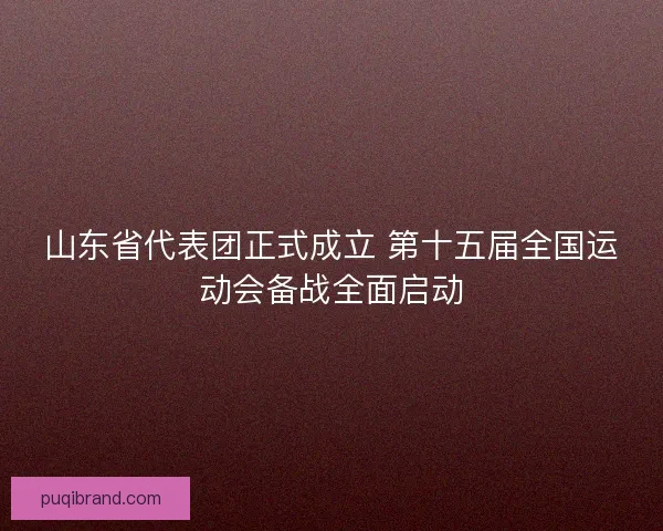 山东省代表团正式成立 第十五届全国运动会备战全面启动