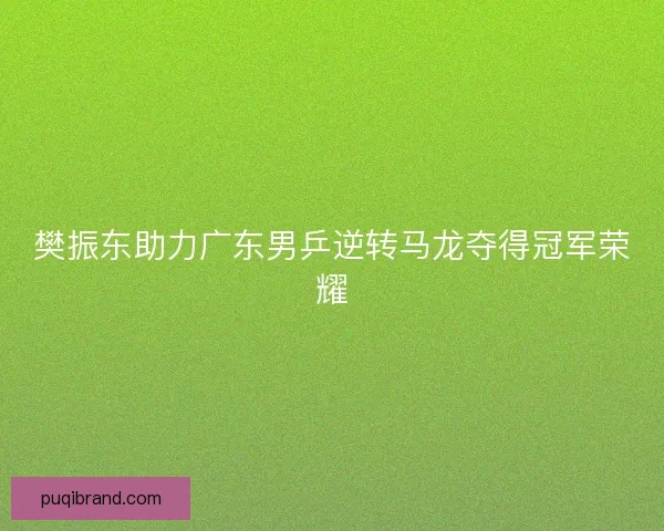 樊振东助力广东男乒逆转马龙夺得冠军荣耀