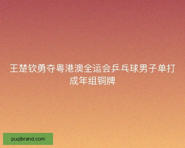 王楚钦勇夺粤港澳全运会乒乓球男子单打成年组铜牌